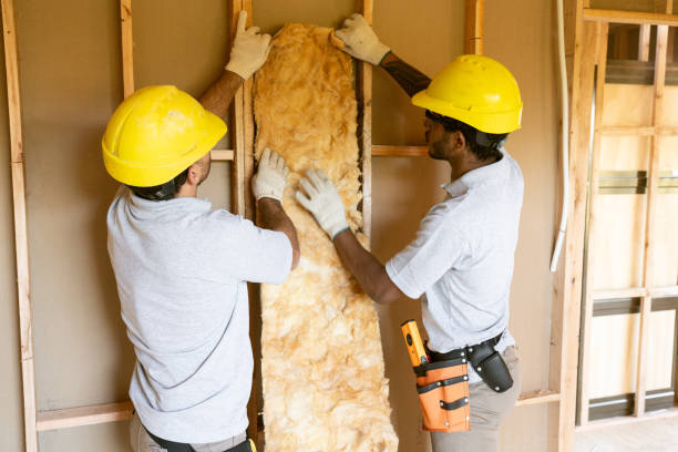 Best Insulation Replacement Services  in Two Rivers, WI