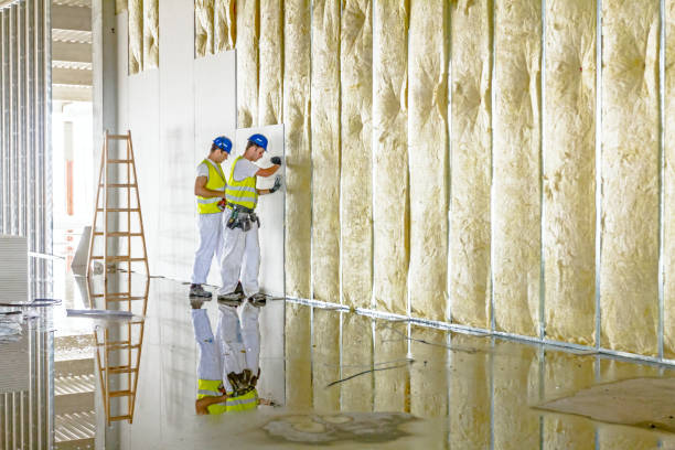 Best Home Insulation Services  in Two Rivers, WI